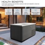 Revive 67 Inch Polar Hot Freestanding Tub - Gray