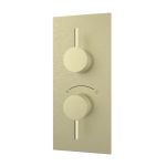 Thermostatic Valve - 2 Round Handles