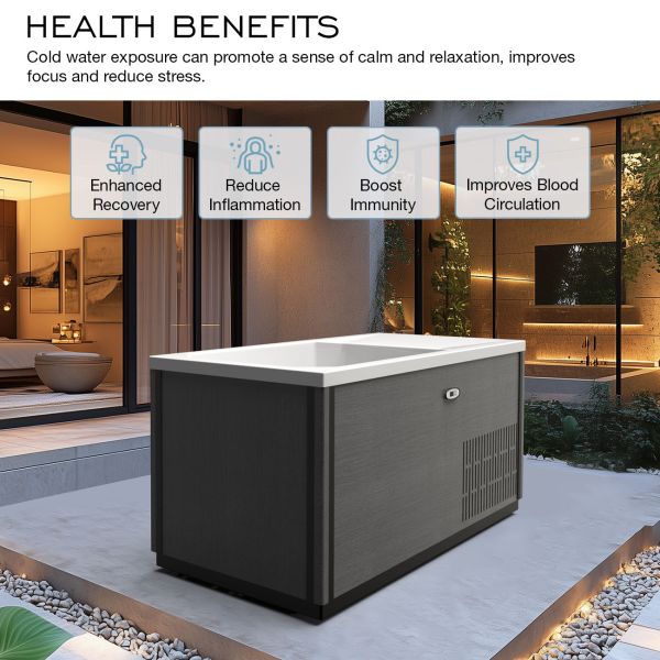 Revive 67 Inch Polar Hot Freestanding Tub - Gray