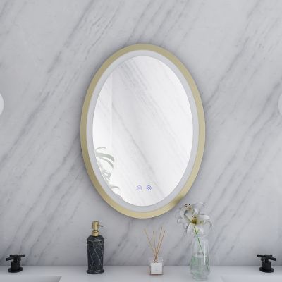 Aydin 20 by 28 Inch Oval Lighted Mirror with Anti-Fog