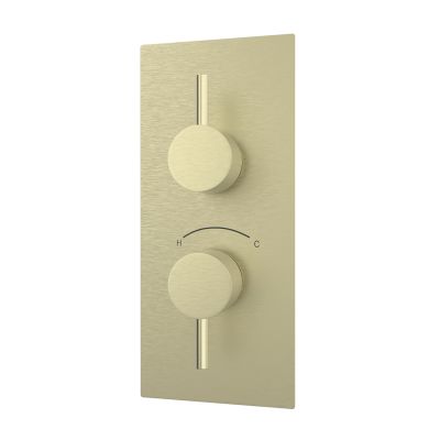 Thermostatic Valve - 2 Round Handles