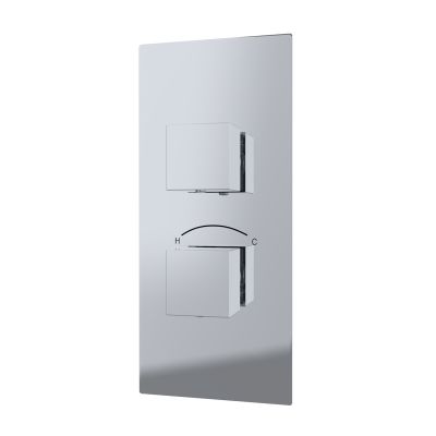 Thermostatic Valve - 2 Square Handles
