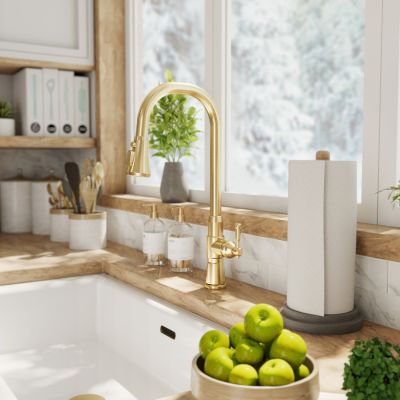 Kitchen Faucet With Pull Down Spring Spout